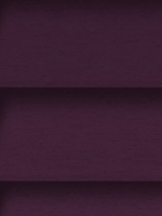 Design Lamelle RAL_Classic_4007_Struktur (Jalousie)