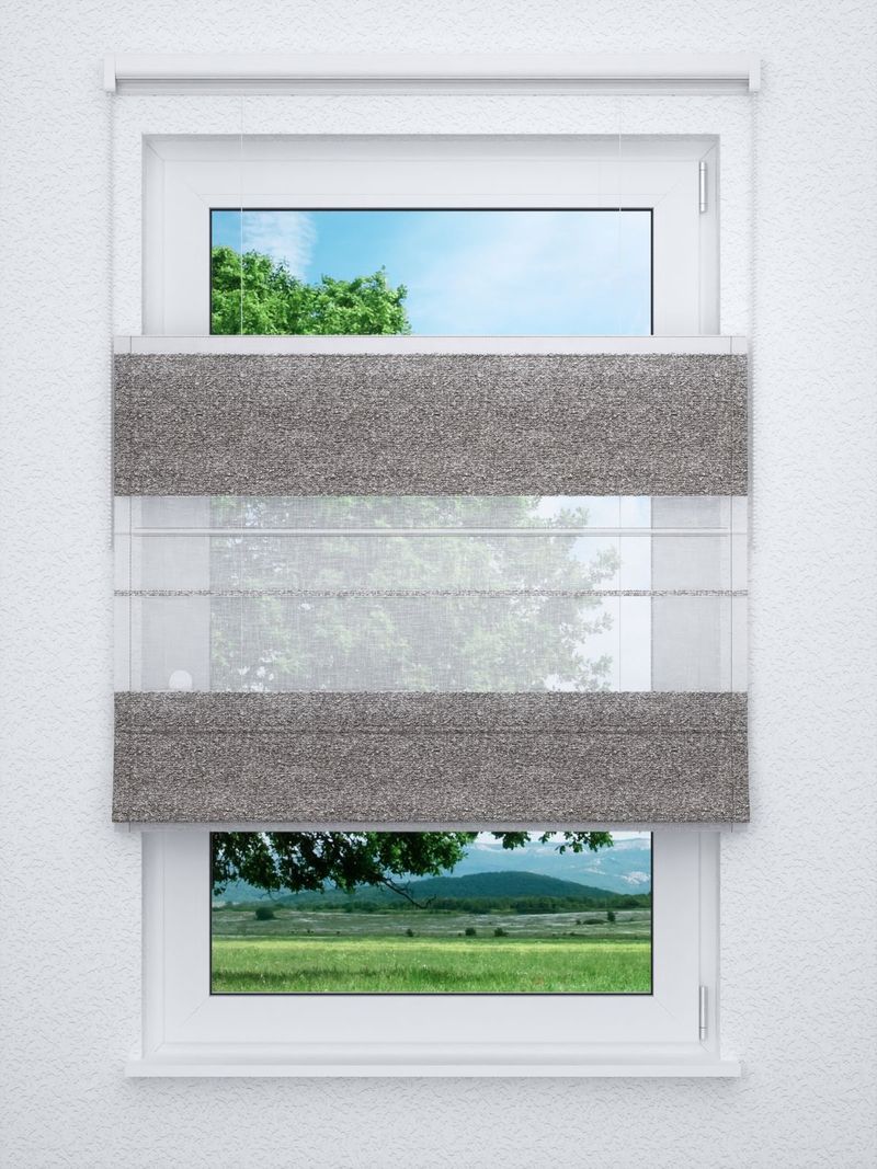 Raffrollo professional in Braun