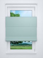 Raffrollo professional in grün