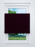 Raffrollo professional in Violett