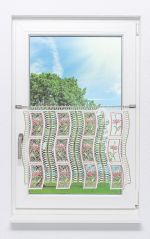 Scheibengardine Plauener Spitze - Blütengewächs