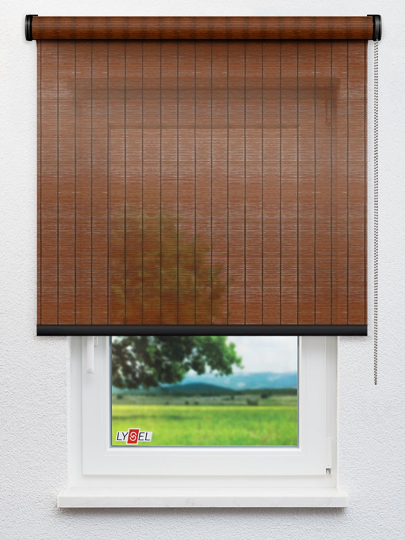 R1017 Fensteransicht