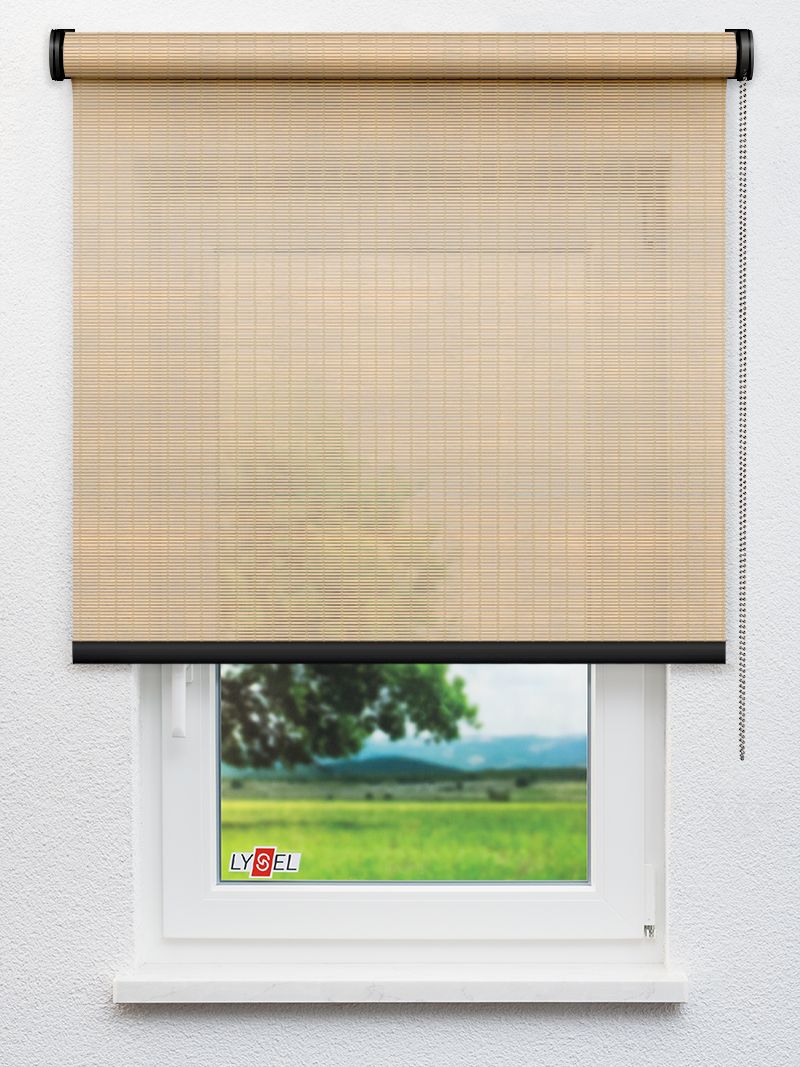 R4017 Fensteransicht