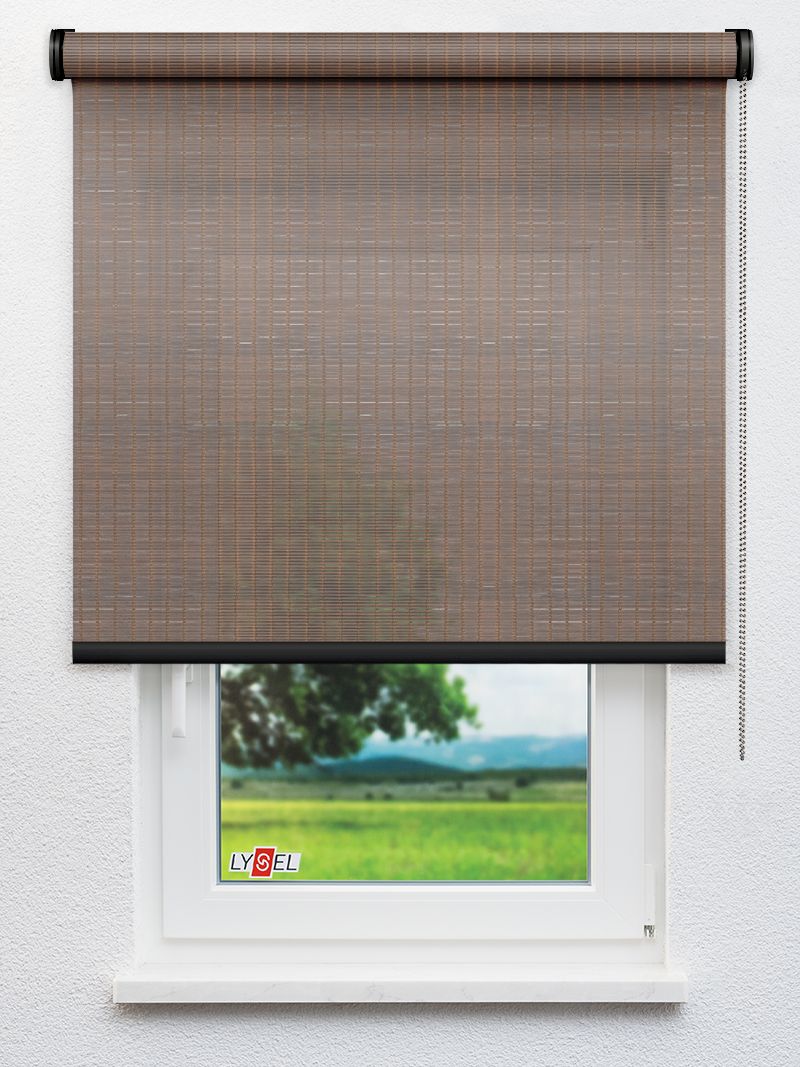 R5017 Fensteransicht