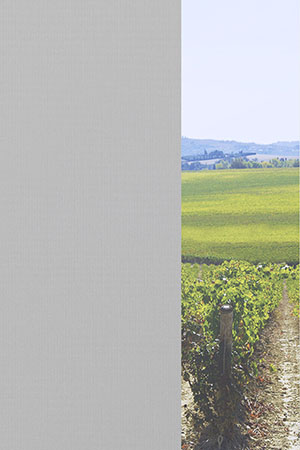 Preview Braubach 10.603e 2