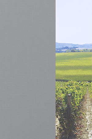 Preview Braubach 30.603e 2