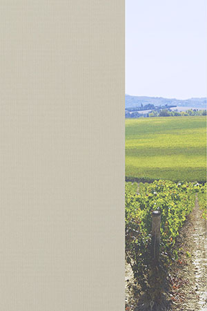 Preview Braubach 91.603e 2