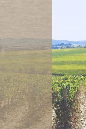 Preview Bühl 00.407e 2