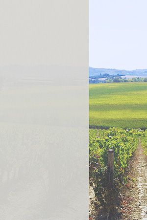 Preview Seelen 00.068e 2