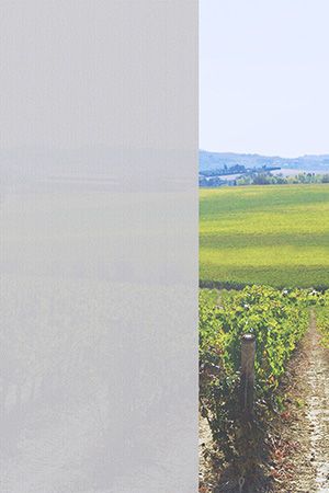 Preview Seelen 10.068e 2