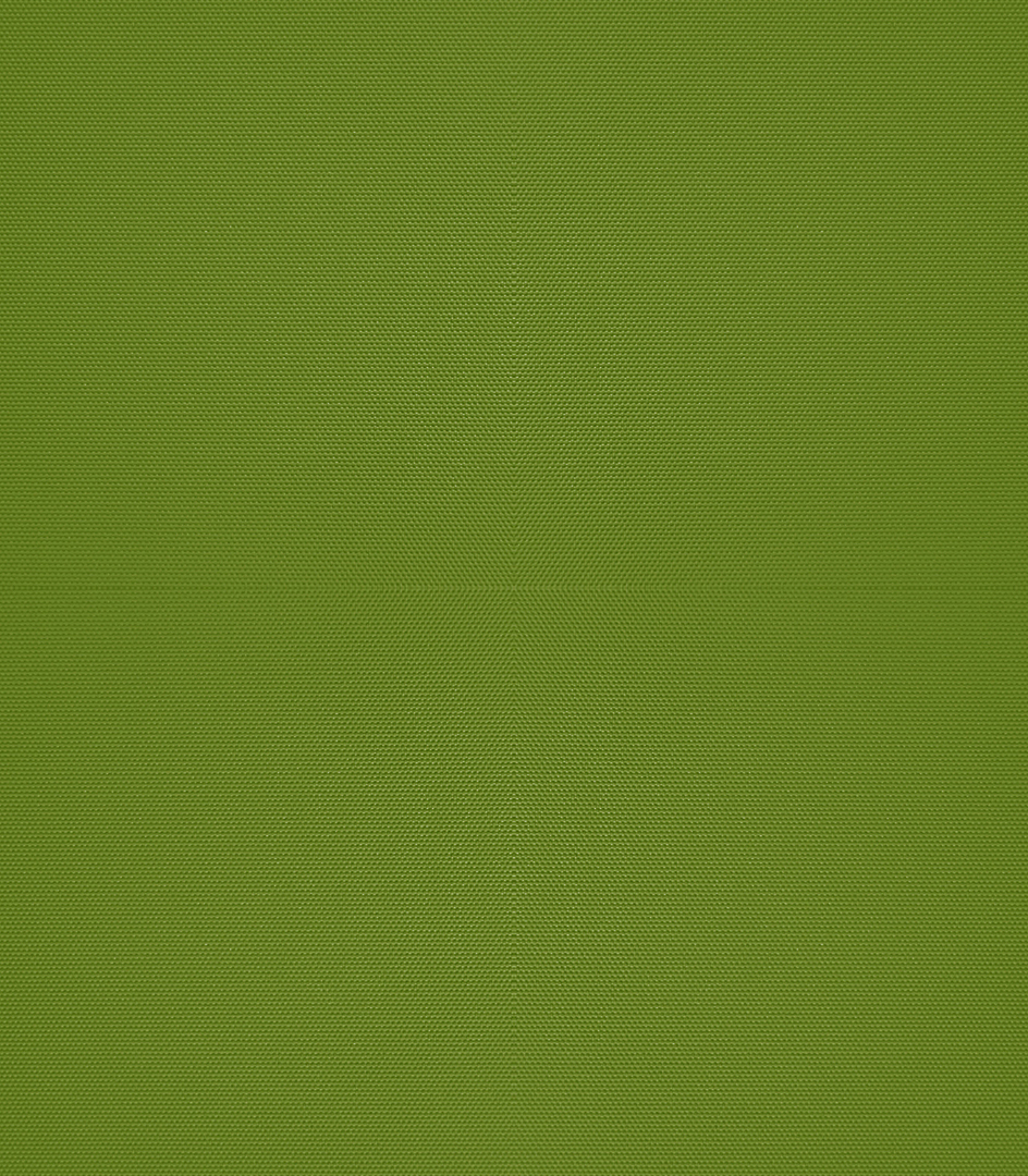 Detailansicht Bergwitzsee 060178