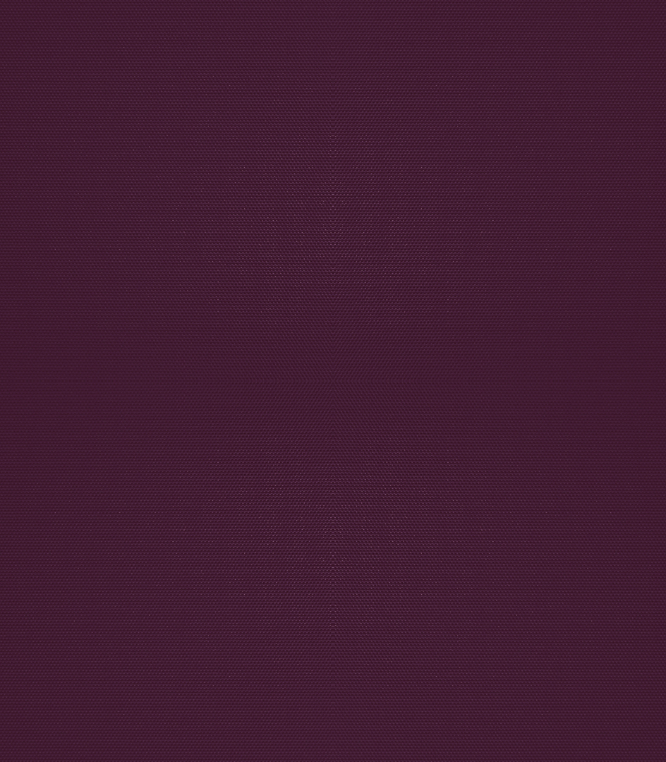 Detailansicht Bergwitzsee 040183