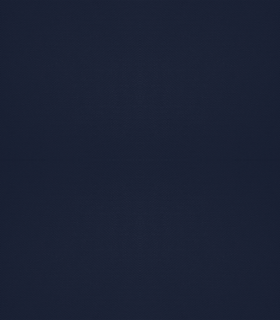 Detailansicht Bergwitzsee 050186