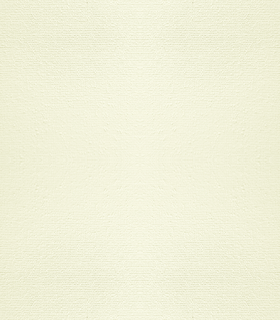 Detailansicht Tollensesee 012271