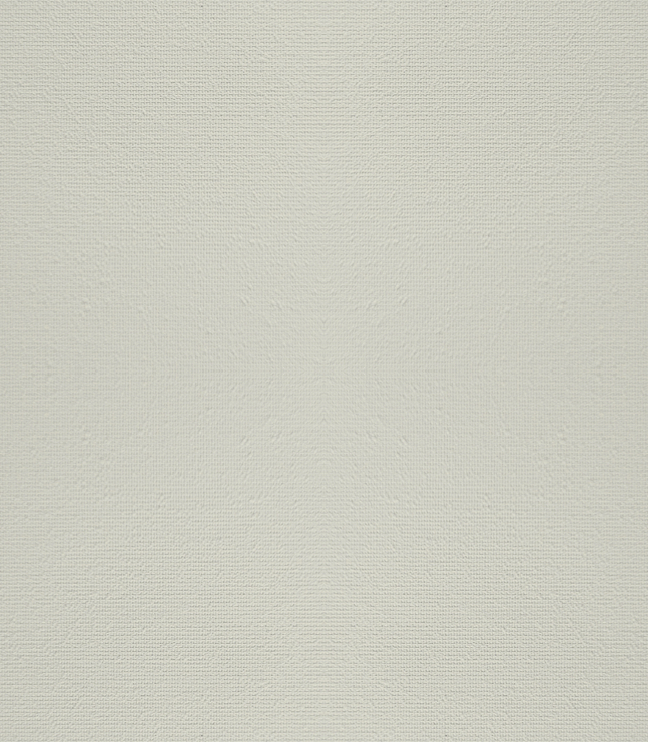 Detailansicht Tollensesee 021177