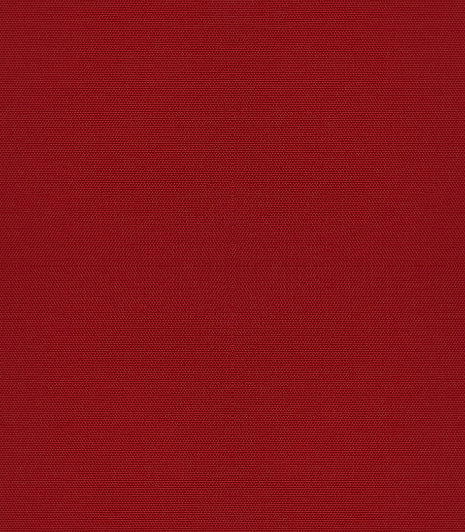 Detailansicht Boddensee 04B0767