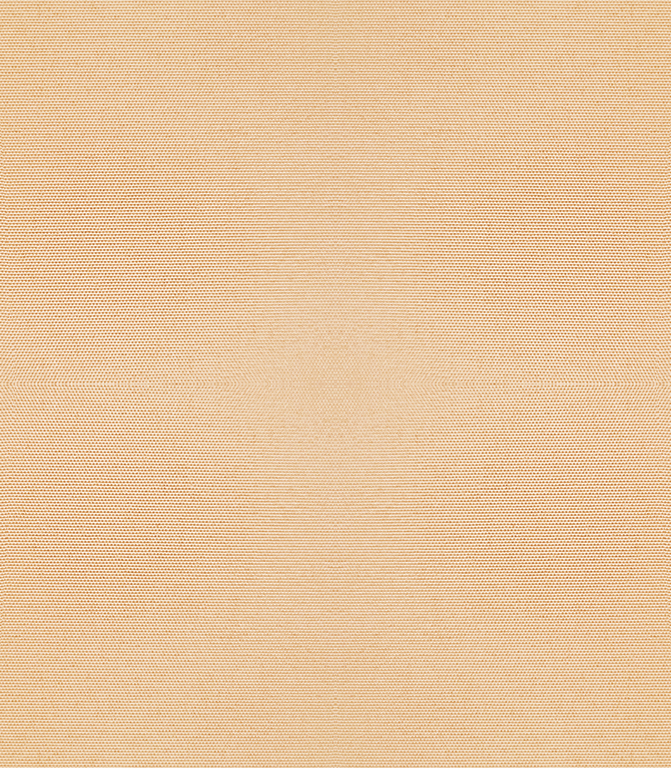 Detailansicht Boddensee 02B0791