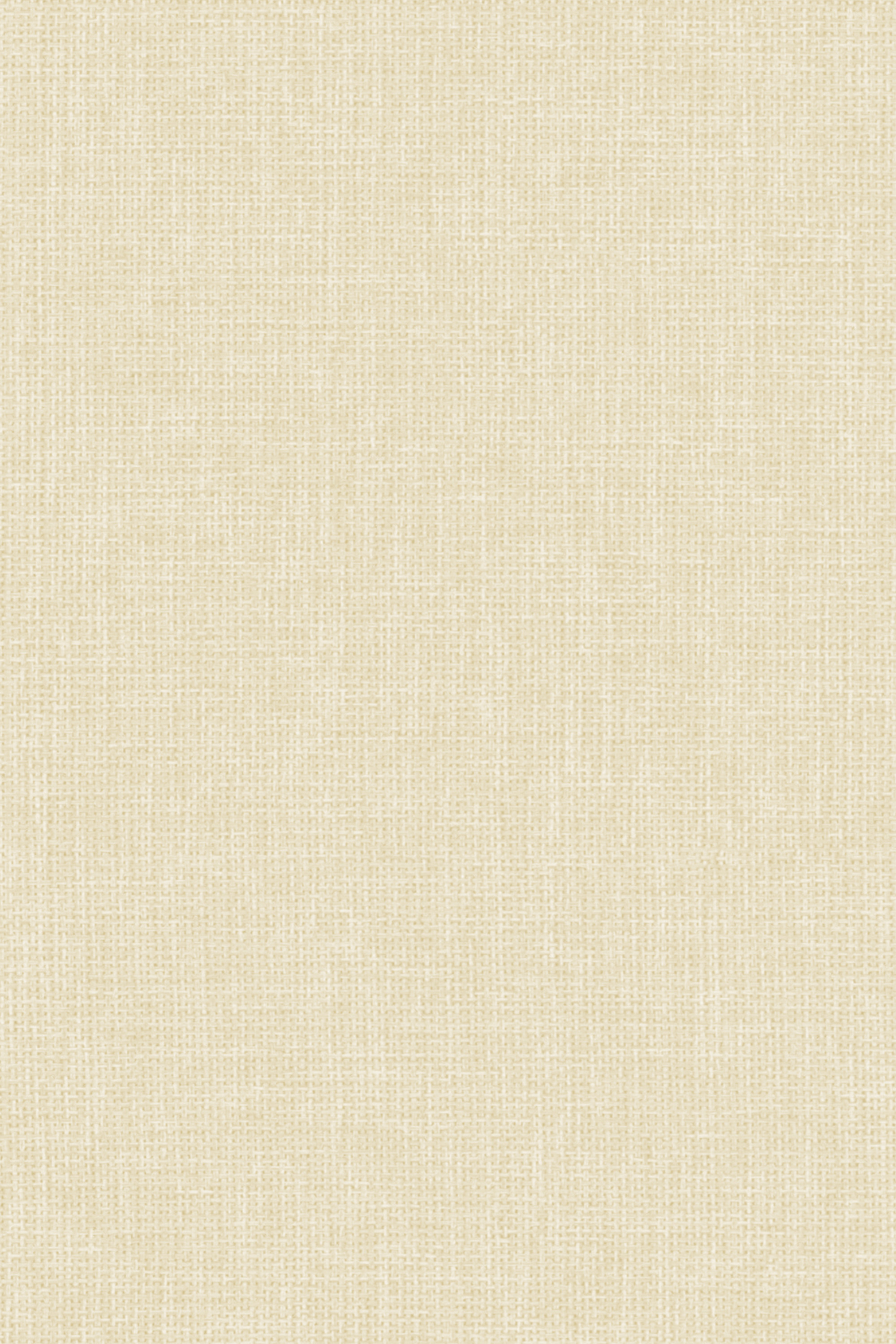 Detailansicht Lamelle Chile 2002.1143