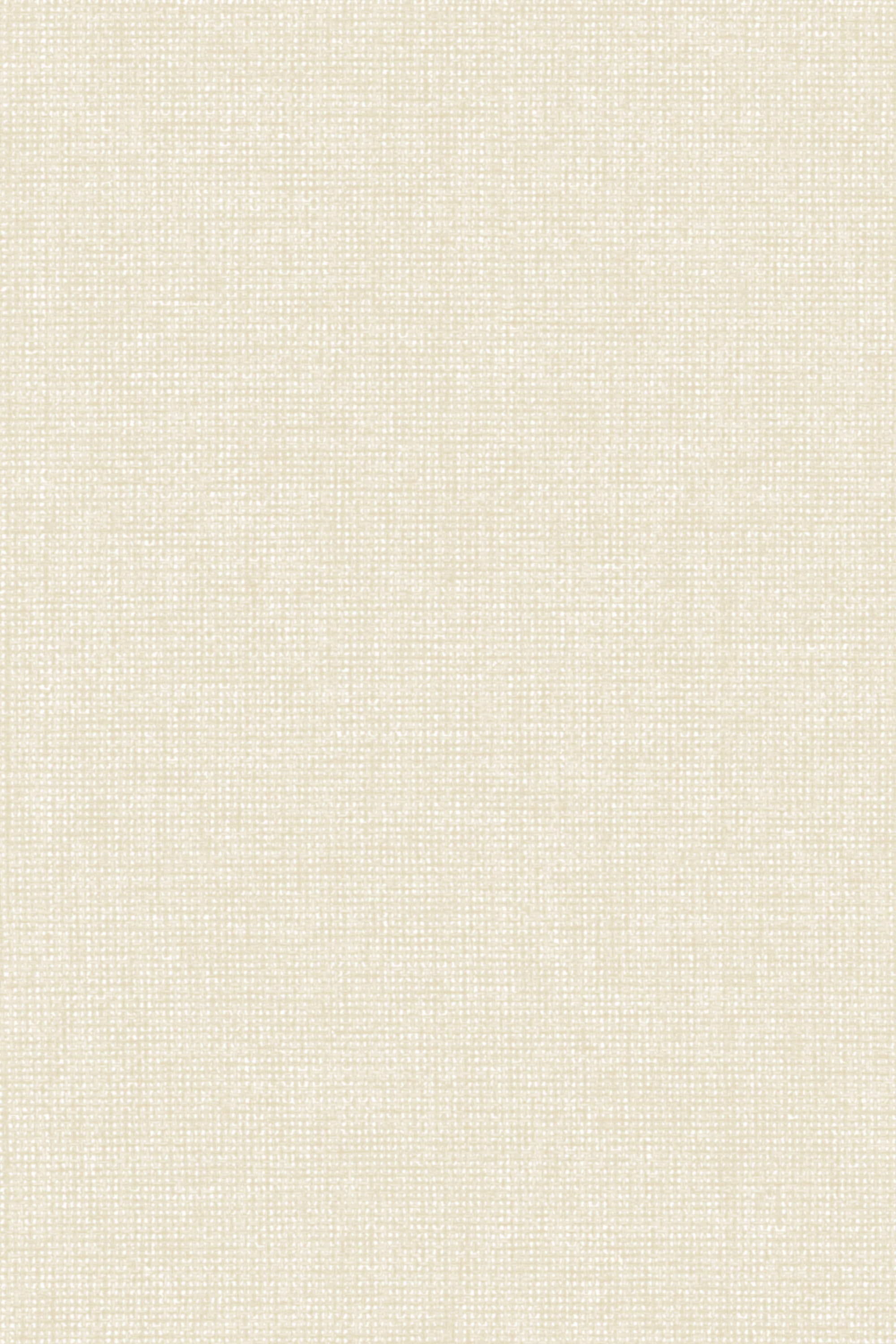 Detailansicht Lamelle Chile BO 2002.1172