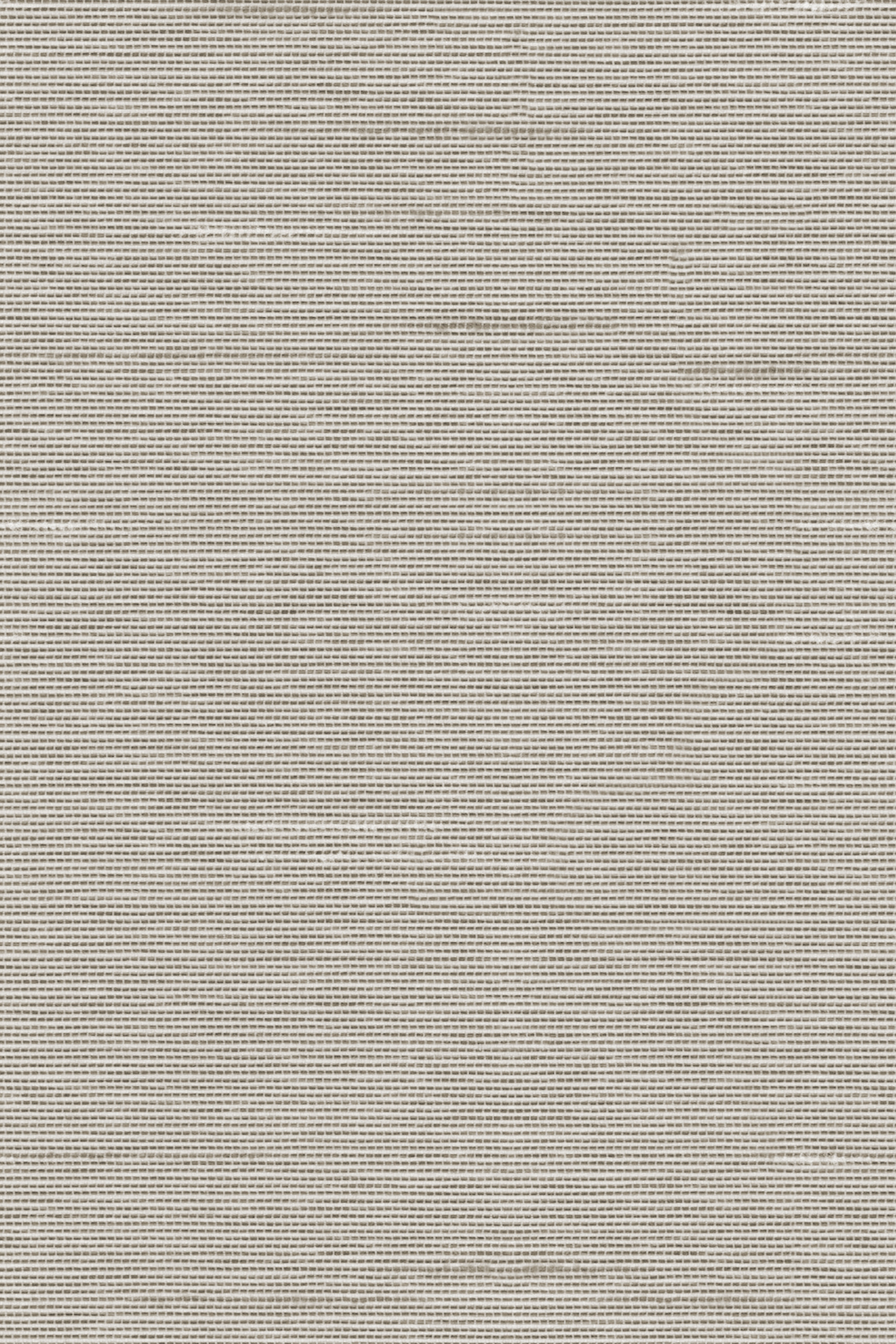 Detailansicht Lamelle Haiti 2003.1166