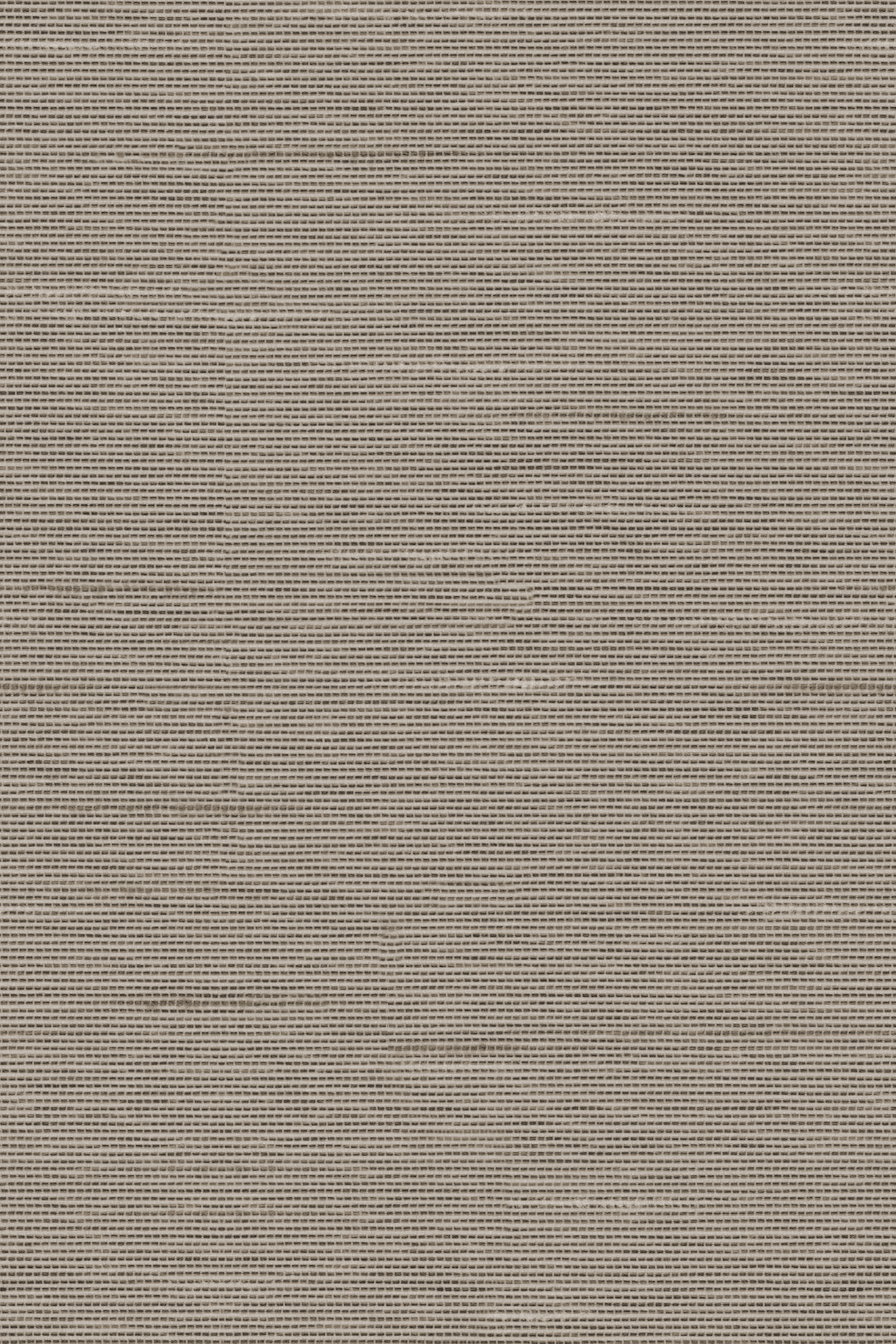 Detailansicht Lamelle Haiti 9005.1169