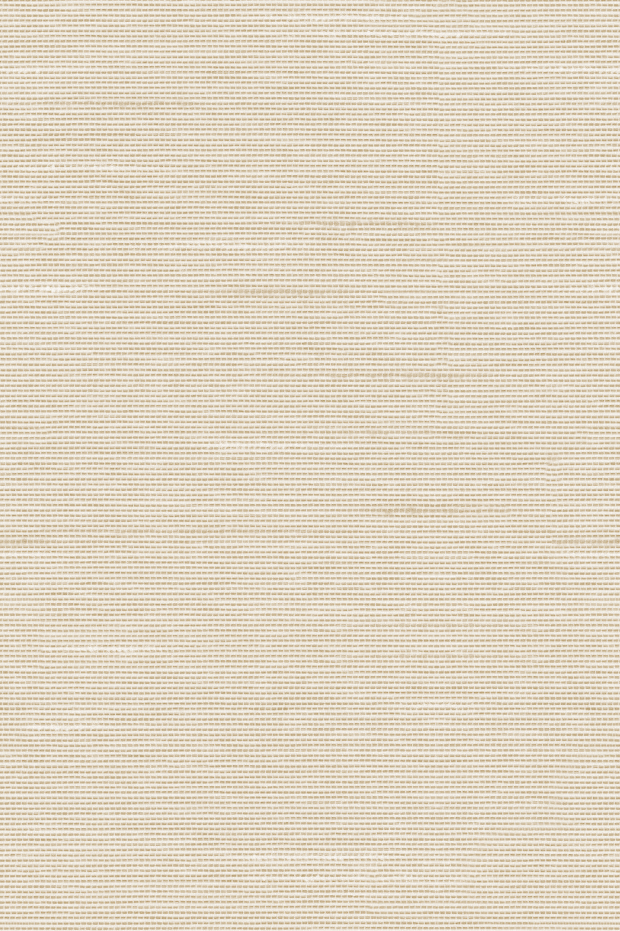 Detailansicht Lamelle Haiti BO 2002.1184