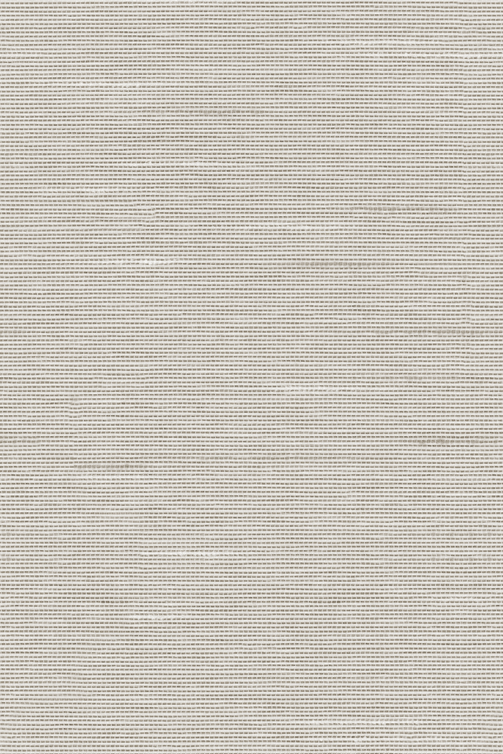 Detailansicht Lamelle Haiti BO 2003.1185