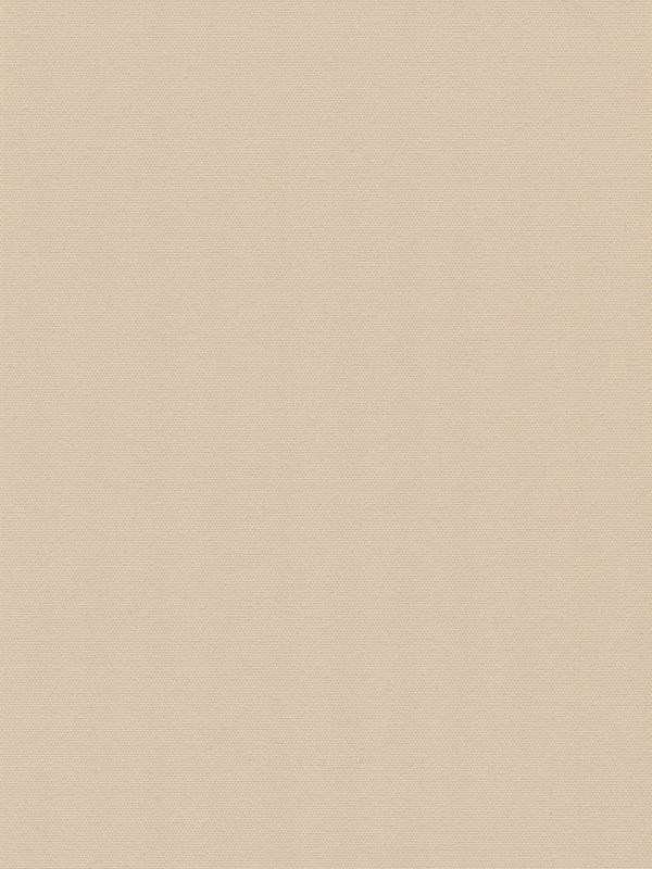 Detailansicht Lamelle Bulgarien 2007.1061
