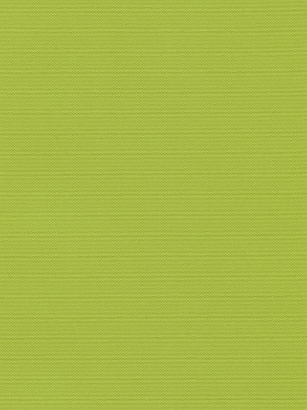 Detailansicht Lamelle Bulgarien BO 6005.1018
