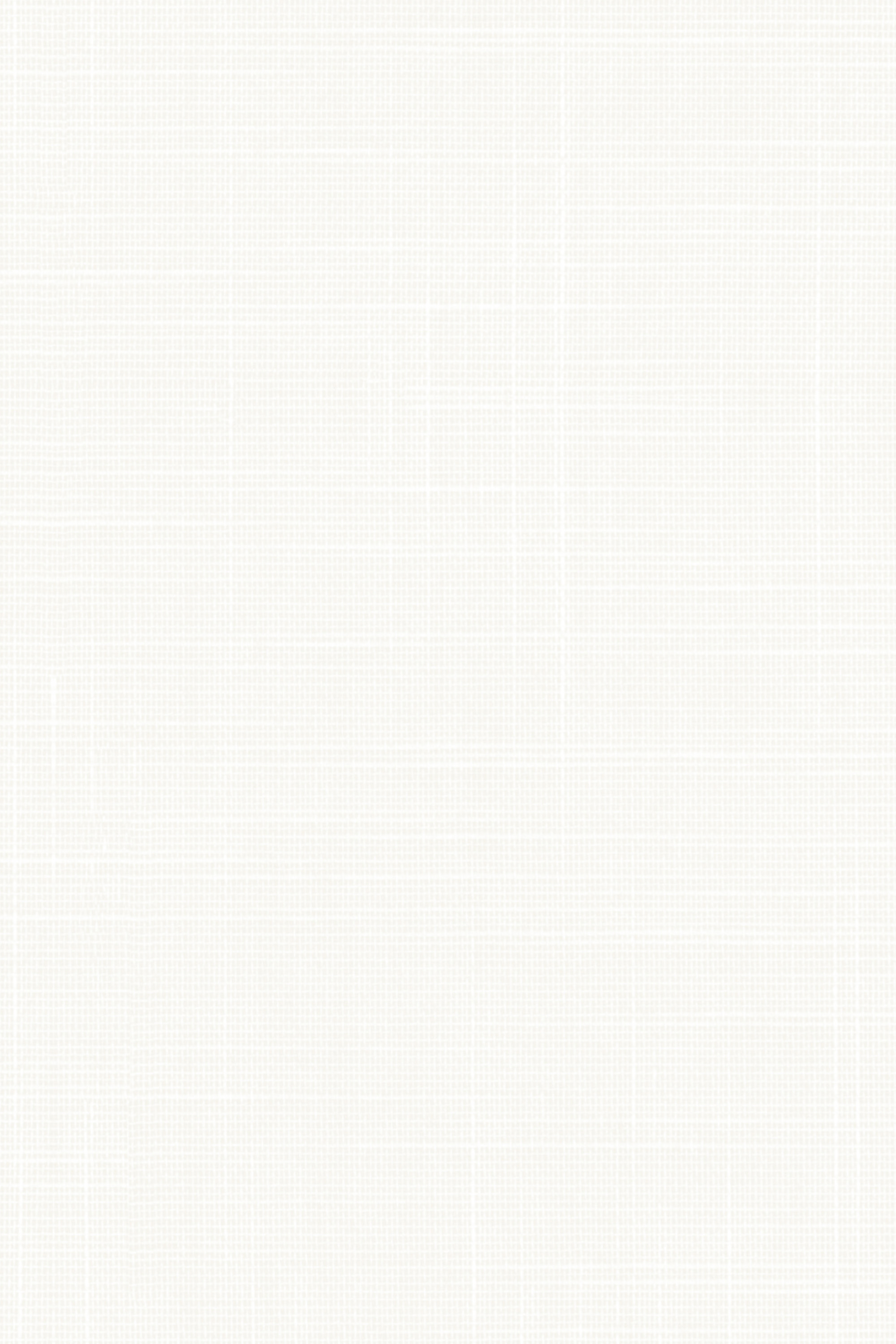 Detailansicht Lamelle Bahamas 1002.1134