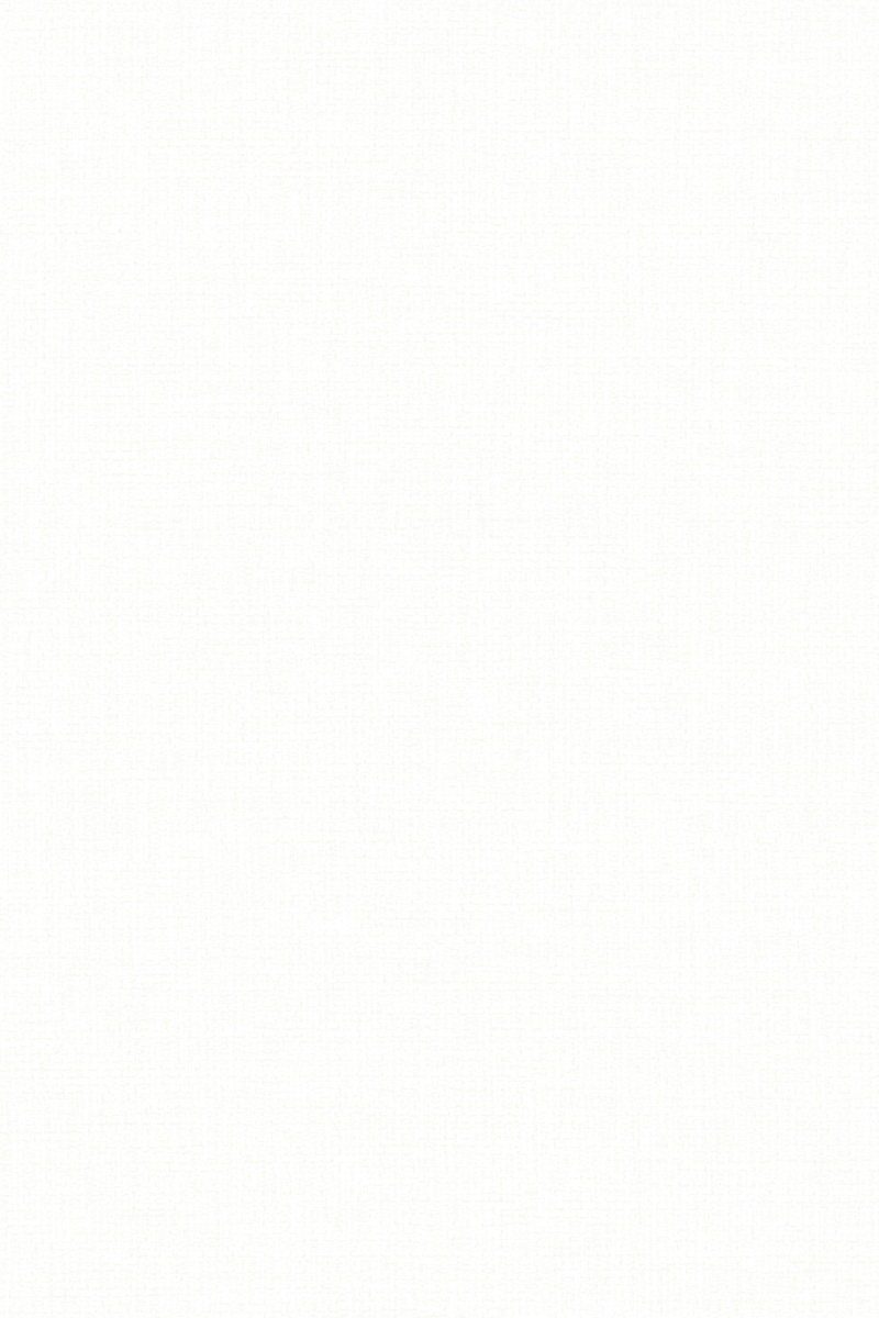 Preview Lamelle Chile BO 1001.1171 5