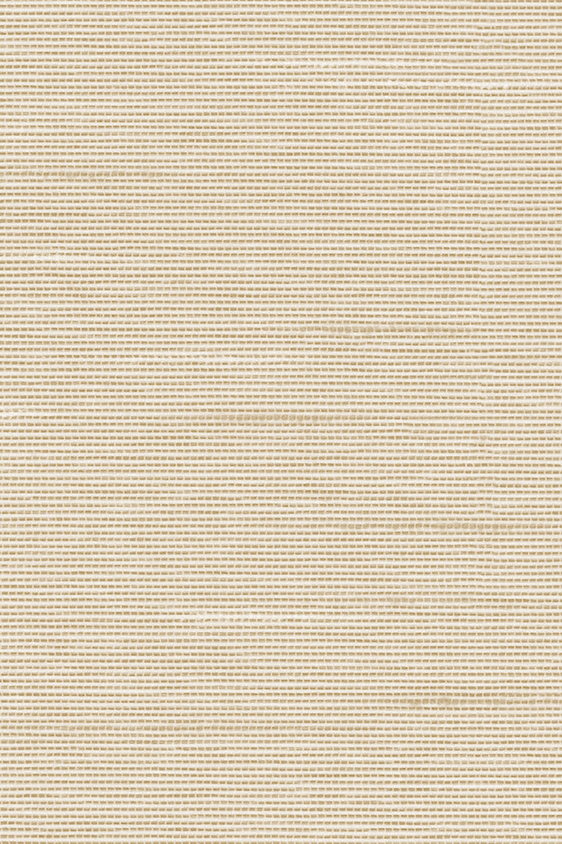 Preview Lamelle Haiti 2002.1165 5