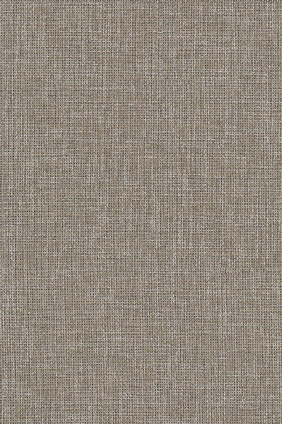 Lamelle Chile 7005.1146