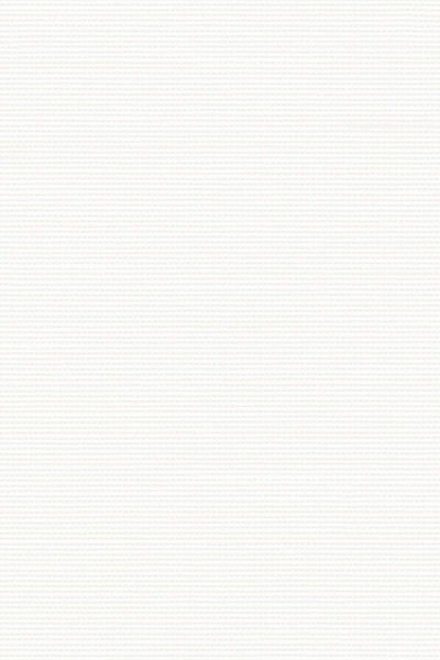 Lamelle Haiti 1001.1164