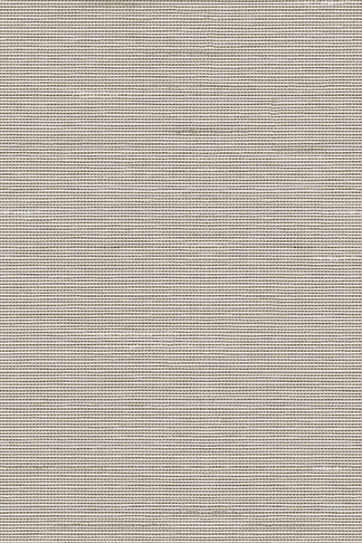 Lamelle Haiti 2003.1166