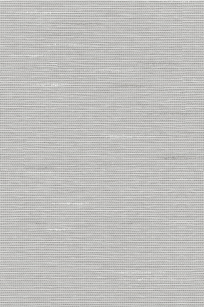 Lamelle Haiti 9004.1167