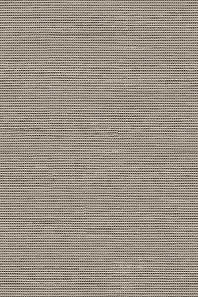 Lamelle Haiti 9005.1169