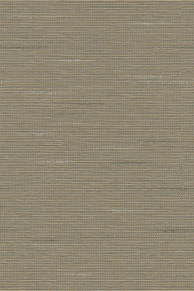 Lamelle Haiti 7006.1170