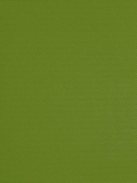 Detailansicht Bergwitzsee 060178