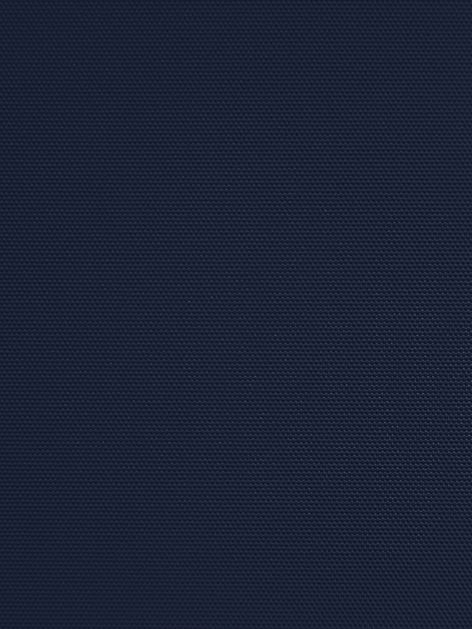 Detailansicht Bergwitzsee 050186