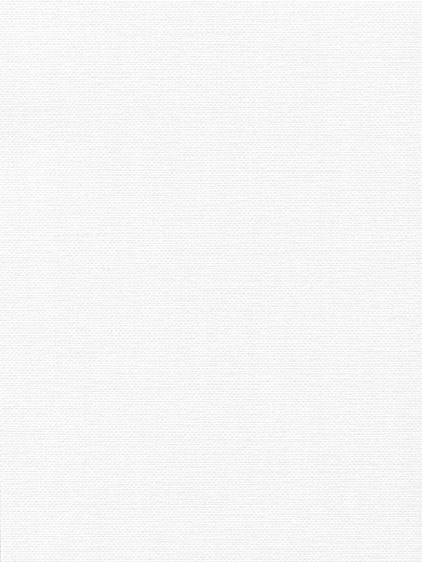 Detailansicht Lamelle Belgien 1007.1053
