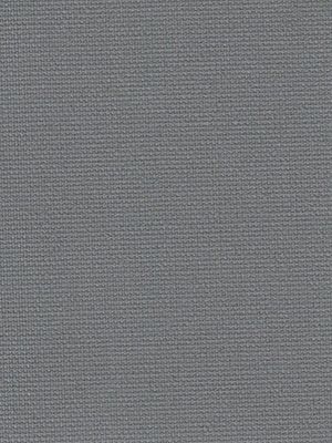 Detailansicht Chiemsee 098121