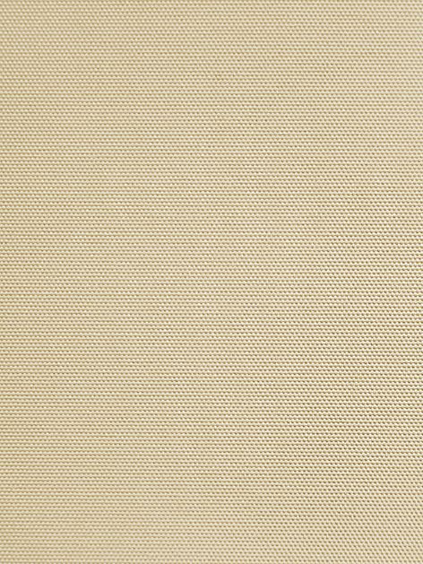 Detailansicht Hufeisensee 021509