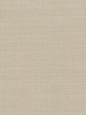 Detailansicht Bodensee 078416