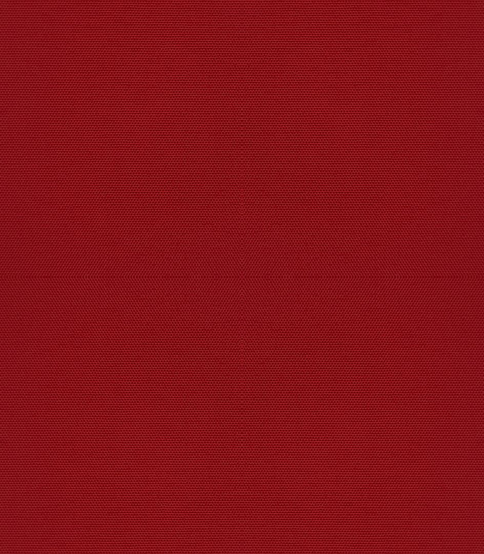 Detailansicht Boddensee 04B0767