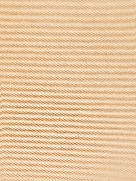 Detailansicht Boddensee 02B0791