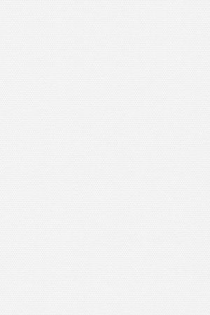 Detailansicht Lamelle Bulgarien 1001.1004
