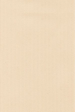 Lamelle Finnland 2005.1036 Detailansicht