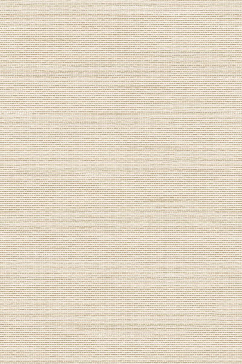 Lamelle Haiti BO 2002.1184 Detailansicht