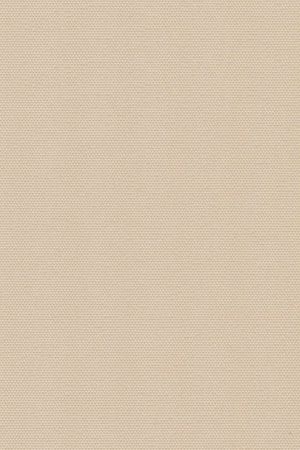 Lamelle Bulgarien 2007.1061
 Detailansicht